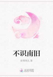 不識南舊