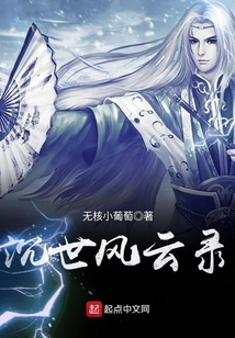 沉世風云錄