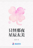 只怪那夜星辰太美在線閱讀