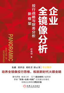 企業全鏡像分析:投行戰略與財務分析新框架