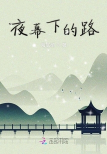 夜幕下的路