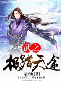 武之極踏天途