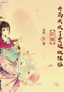 紅樓：開局我收了賈璉做跟班