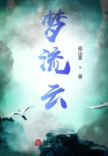 夢(mèng)流云