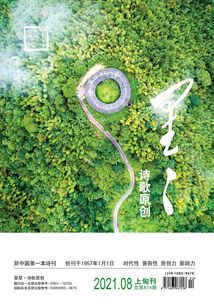 星星·詩歌原創（2021年第8期）