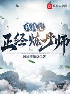 我真是正经炼丹师