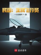 民国：王牌飞行员在线阅读