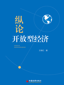 縱論開放型經濟