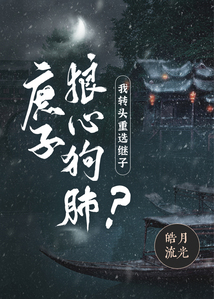 庶子狼心狗肺？我轉頭重選繼子