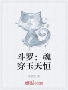 斗罗:魂穿玉天恒在线阅读