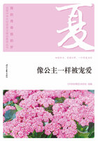 “我的青春我的梦”全国中学生校园美文精品集萃丛书:像公主一样被宠爱在线阅读