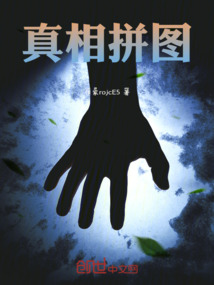 真相拼圖