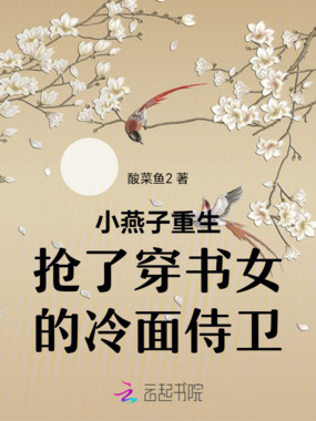 小燕子重生抢了穿书女的冷面侍卫在线阅读