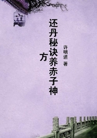 還丹秘訣養(yǎng)赤子神方在線閱讀
