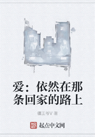 愛：依然在那條回家的路上在線閱讀