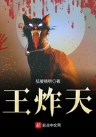 王炸天在線閱讀