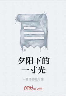 夕陽下的一寸光