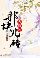 天庭的那塊兒磚在線閱讀