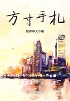 方寸手札在线阅读