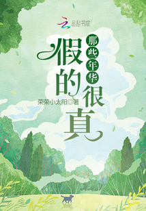 那些年華假的很真