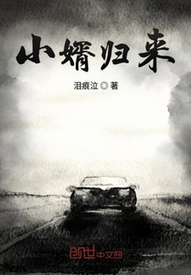 小婿歸來