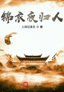 錦衣夜歸人