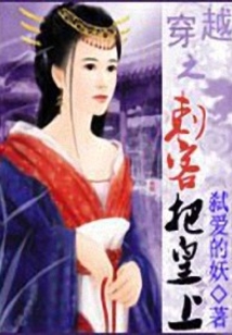 穿越之刺客把皇上