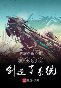 我不小心創造了系統
