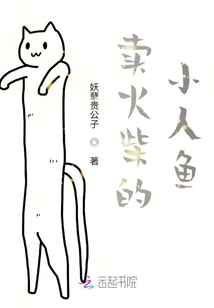 賣火柴的小人魚