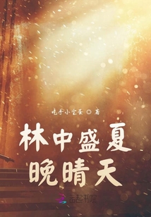 林中盛夏晚晴天
