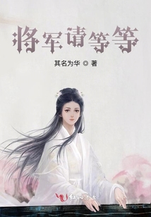 將軍請等等