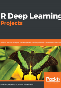 R Deep Learning Projects