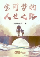 宝可梦的人生之路在线阅读