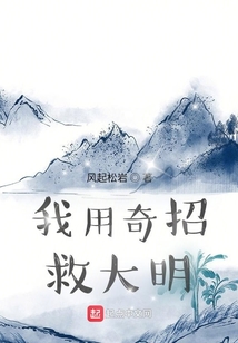 我用奇招救大明