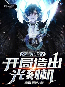 文盲頂流?開局造出光刻機