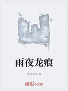 雨夜龙痕在线阅读