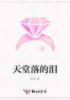 天堂落的淚在線閱讀