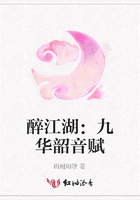 醉江湖：九華韶音賦在線閱讀