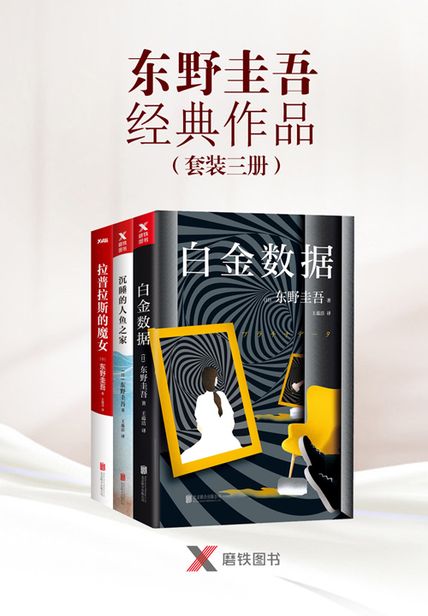东野圭吾经典作品（套装三册）读书笔记1000字(3)篇