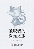 圣職者的次元之旅在線閱讀