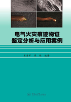 电气火灾痕迹物证鉴定分析与应用案例在线阅读