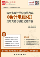 云南省会计从业资格考试《会计电算化》历年真题与模拟试题详解在线阅读