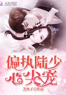 偏執陸少心尖寵