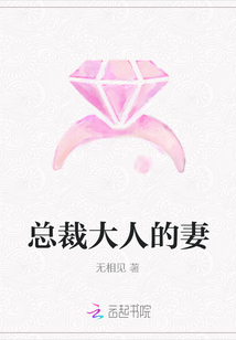 总裁大人的妻