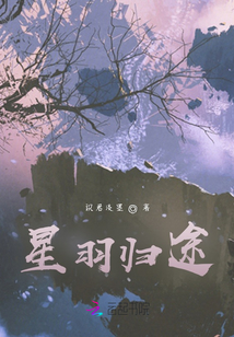 星羽歸途
