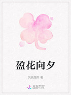 盈花向夕在線閱讀