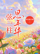 一弦一柱思华年在线阅读
