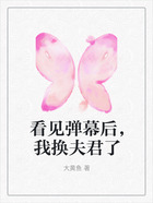 看见弹幕后,我换夫君了在线阅读