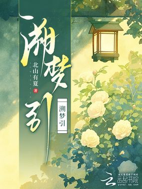 溯梦引在线阅读
