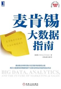 麥肯錫大數據指南